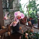 A Casa Di Rosy Séjour à la campagne *