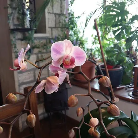 A Casa Di Rosy Casa di campagna *