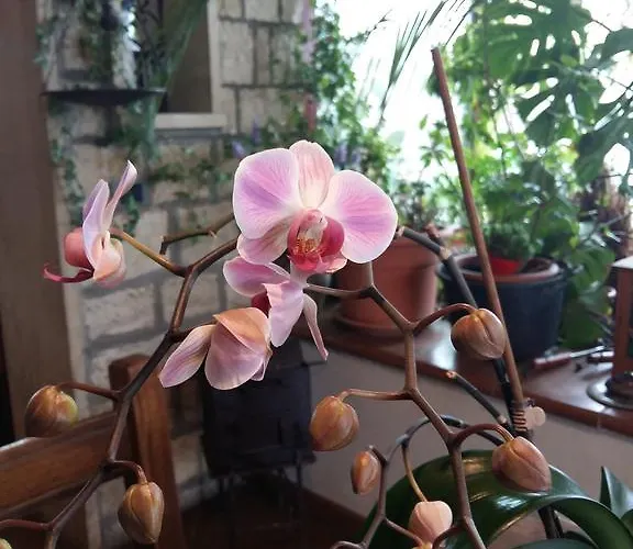 A Casa Di Rosy Landsted *